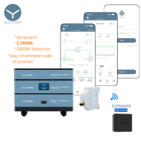 2,5KWh dynamischer BKW Speicher + Notstrom bidirektional...