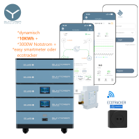 ultra 10KWh Nulleinspeisung BKW Speicher + Notstrom...